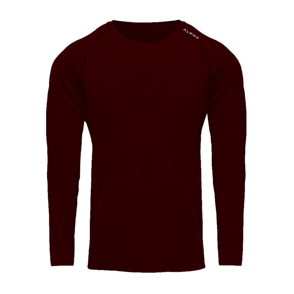 [Foreign trade cross-border exclusive] fitness men's spring and autumn sports leisure quick-drying stretch long-sleeved T-shirt running